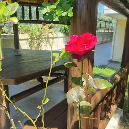 Agiokampos Harmony 2 Holiday home *